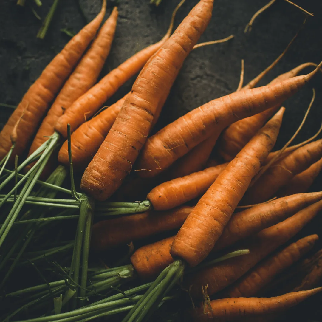 Carrot Nantes Coreless Seeds | West Coast Seeds