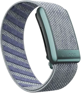 Dad Jeans Superknit Band
